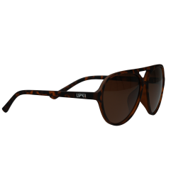 Boston Breeze Sunglasses Brun