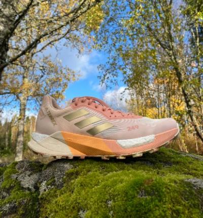 TEST: ADIDAS Terrex Agravic Ultra – en terrengsko med karbon og stil!
