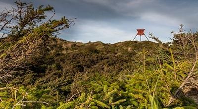 Løpsberetning fra Thy Trail Marathon i DK