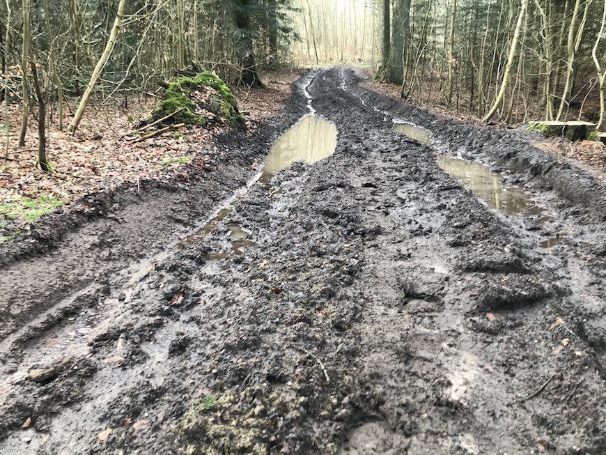 salomon speedcross 5 test mudder