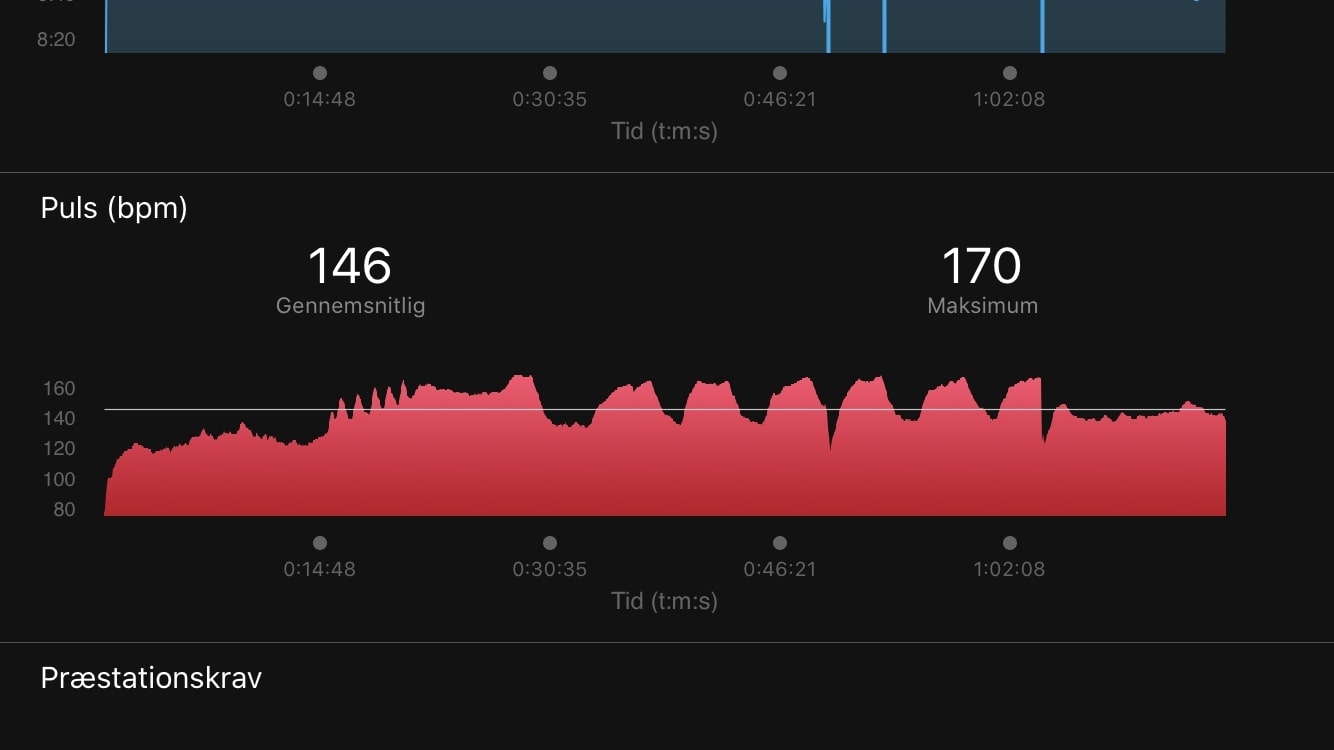 puls 2 fenix 6 pulsbelt