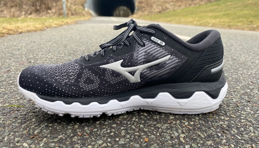 Mizuno Wave Horizon 5 test