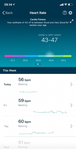 fitbit vo2 max