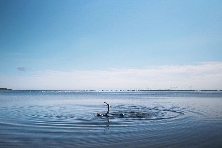 ledlenser h7r signature